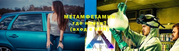 сатива Аркадак