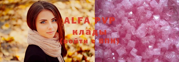 сатива Аркадак
