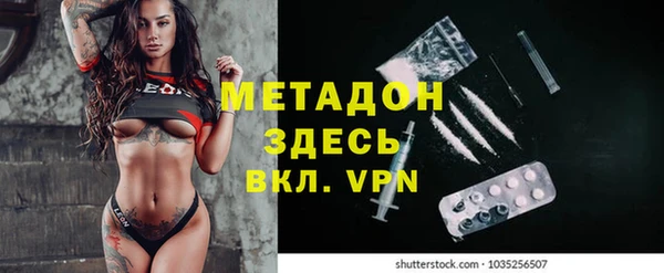 сатива Аркадак