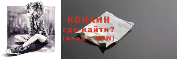 сатива Аркадак