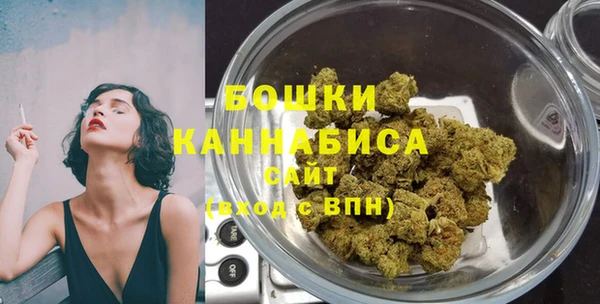 сатива Аркадак