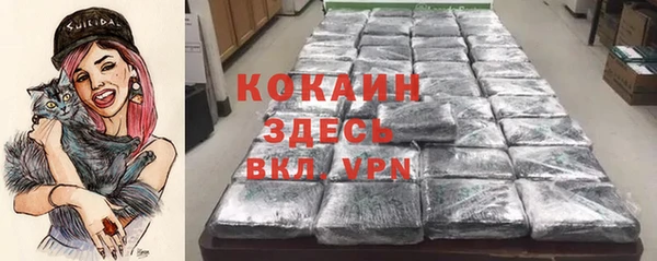 винт Арсеньев