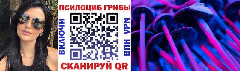 Купить где  Полысаево  Псилоцибиновые грибы ЛСД 